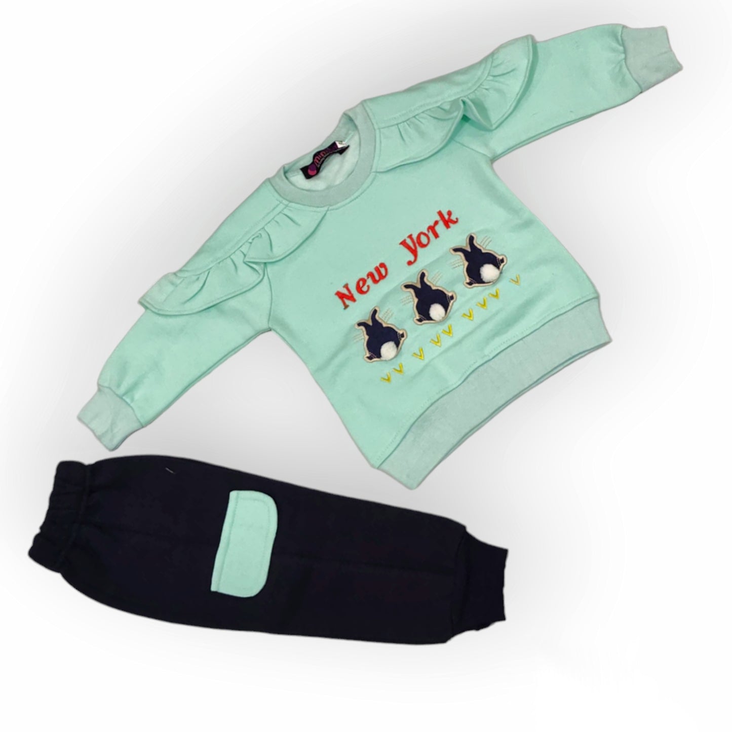 Girls Printed Fleece Sweatshirt with Fleece Trousers Pocket Style (Gfe-2046)